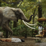 L’agence Orphéa a organisé la présence de l’éléphant pour le tournage du clip « Immortel » du rappeur Gims, sorti le 25 septembre dernier.