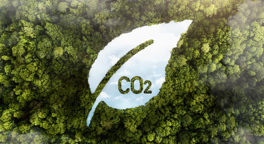 Derniers jours pour bénéficier d’un accompagnement sur la décarbonation !