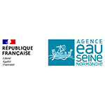 Logo AESN